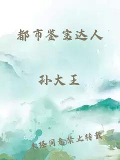 都市鉴宝达人