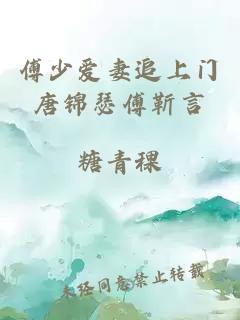傅少爱妻追上门唐锦瑟傅靳言