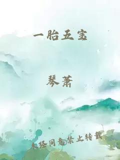 一胎五宝