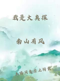 我是大真探
