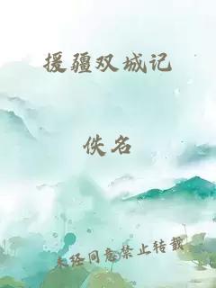 援疆双城记