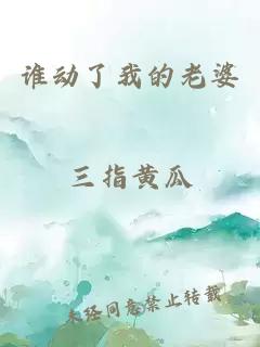 谁动了我的老婆