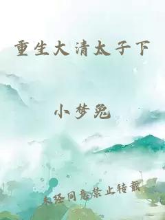 重生大清太子下