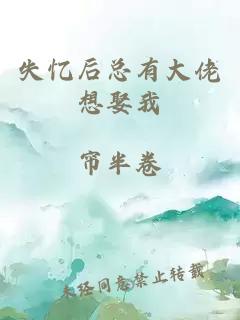 失忆后总有大佬想娶我