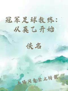 冠军足球教练：从英乙开始