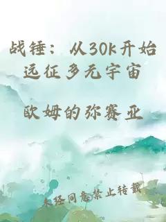 战锤：从30k开始远征多元宇宙