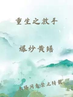 重生之放手