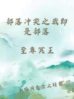 部落冲突之我即是部落