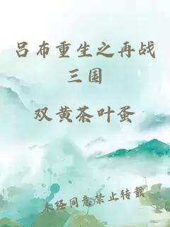 吕布重生之再战三国