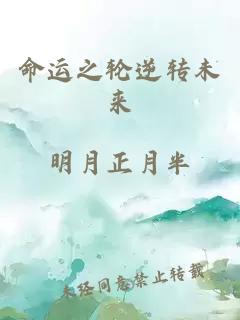 命运之轮逆转未来