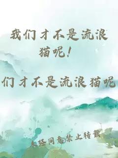 我们才不是流浪猫呢！