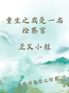 重生之我是一名检察官