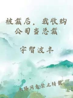 被裁后，我收购公司当总裁