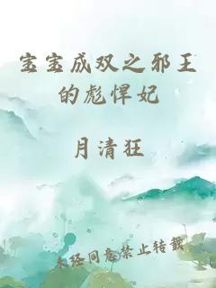 宝宝成双之邪王的彪悍妃