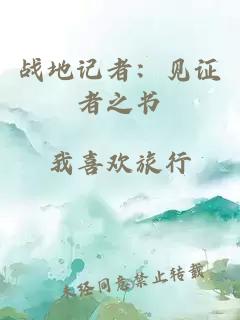 战地记者：见证者之书