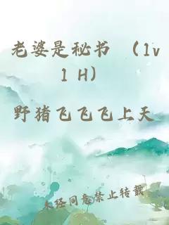 老婆是秘书 （1v1 H）