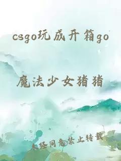csgo玩成开箱go