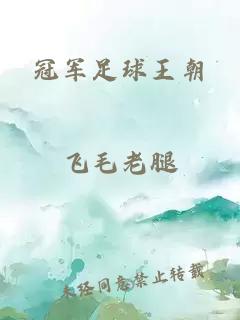 冠军足球王朝