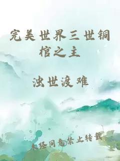 完美世界三世铜棺之主