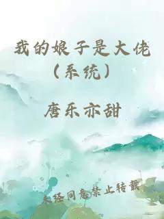 我的娘子是大佬（系统）