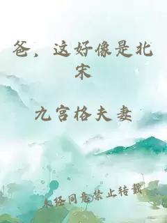 爸，这好像是北宋