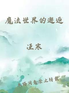 魔法世界的邂逅