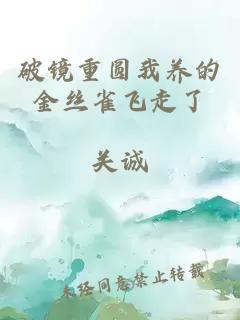 破镜重圆我养的金丝雀飞走了