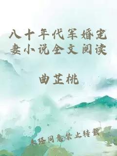 八十年代军婚宠妻小说全文阅读