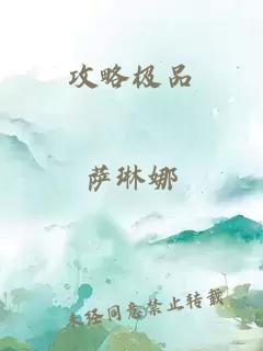 攻略极品