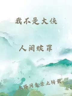 我不是大侠